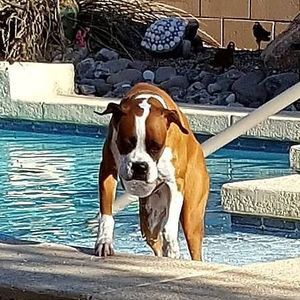 Meet your Posher, Carol